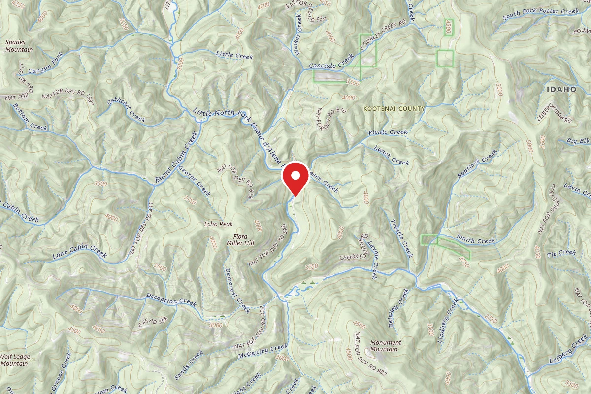 Idaho Panhandle Dispersed Campsite RD 209 SITE 52