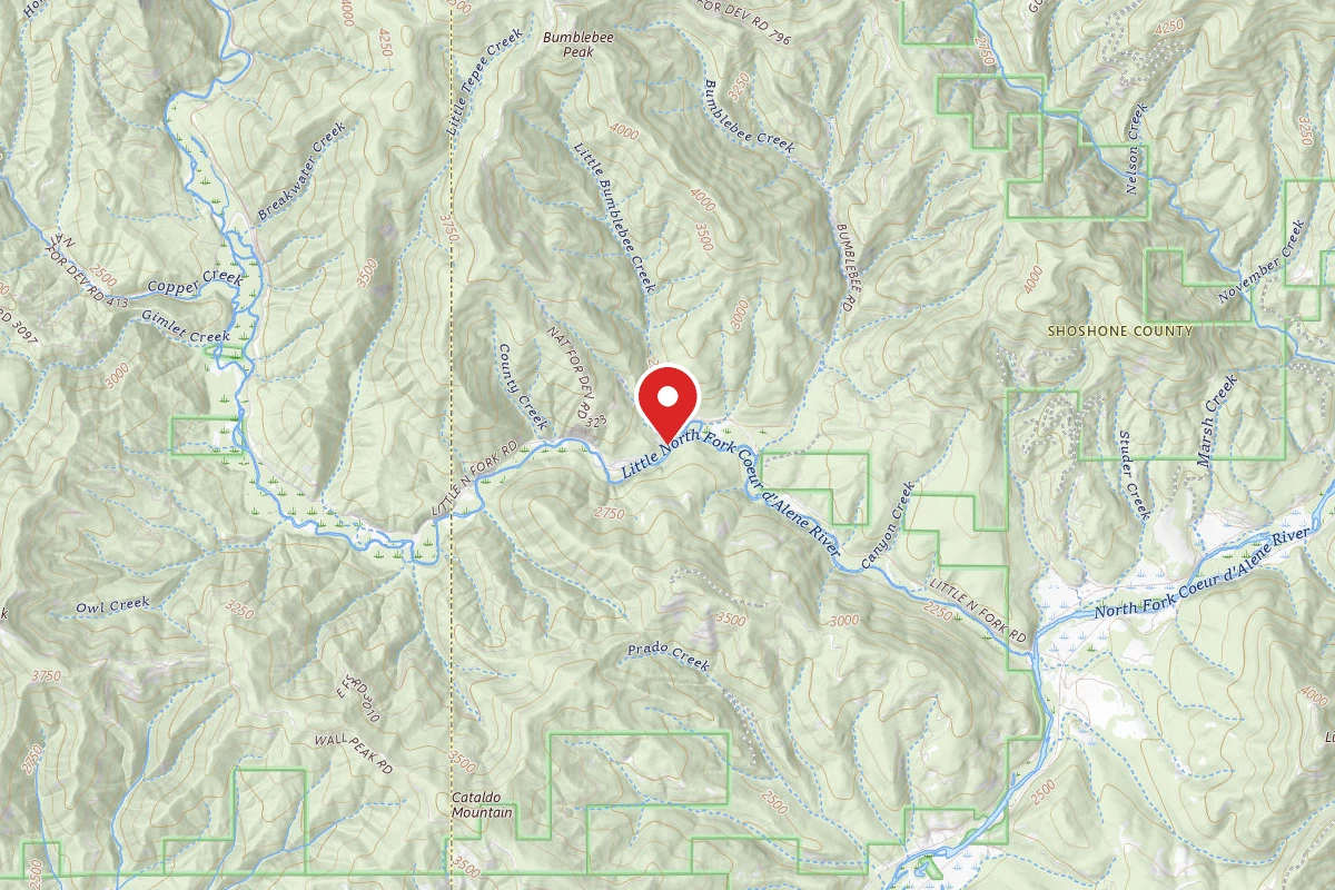 Idaho Panhandle Dispersed Campsite RD209 SITE 60