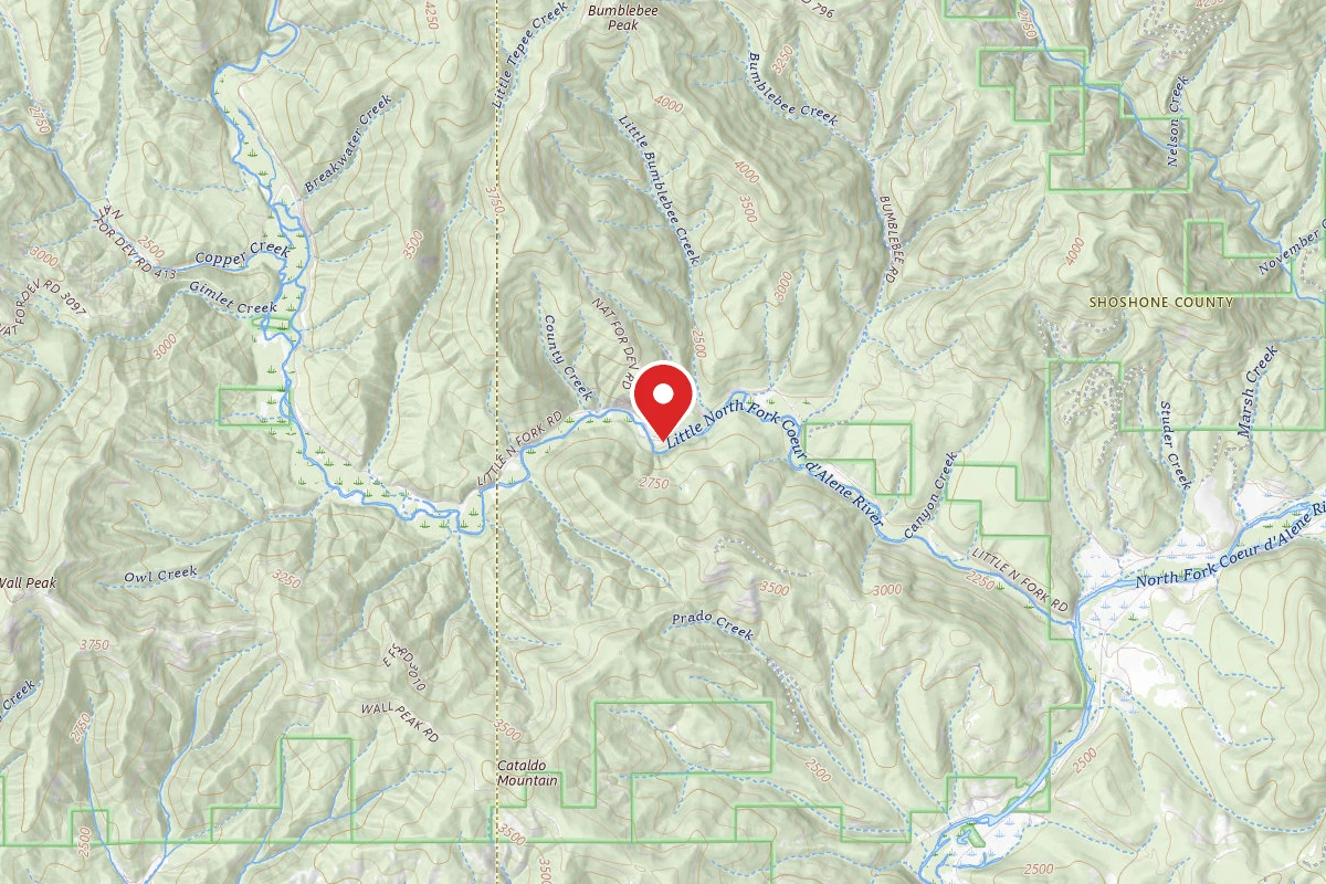 Idaho Panhandle Dispersed Campsite RD 209 SITE 61B