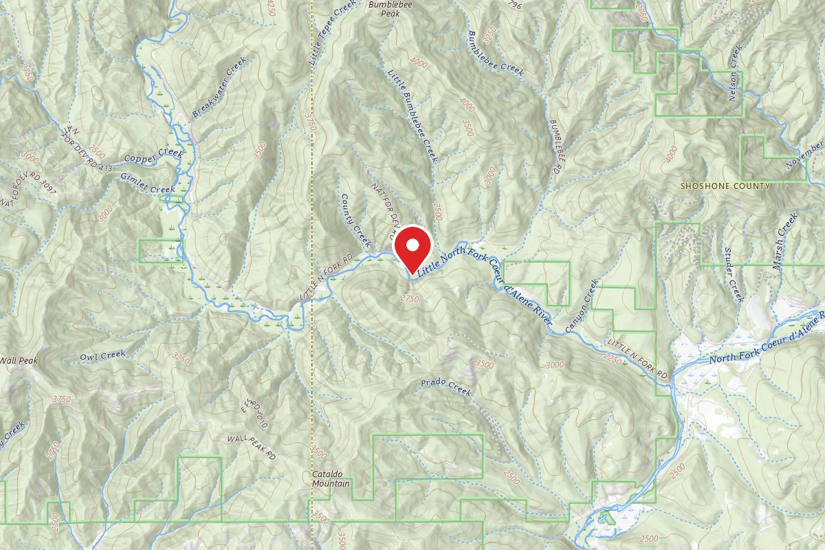 Idaho Panhandle Dispersed Campsite RD 209 SITE 61C