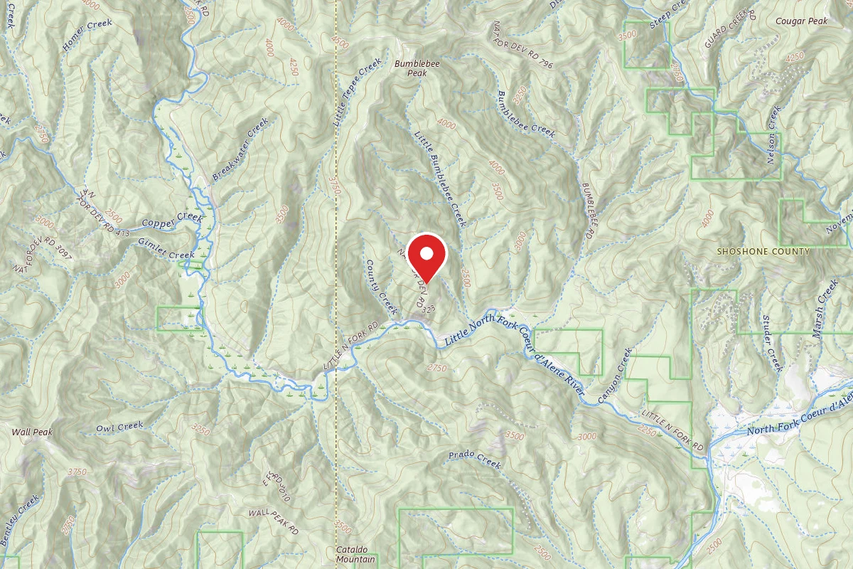 Idaho Panhandle Dispersed Campsite RD 323 MM 1.4
