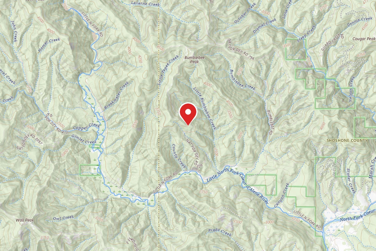 Idaho Panhandle Dispersed Campsite RD 323 MM 2.8