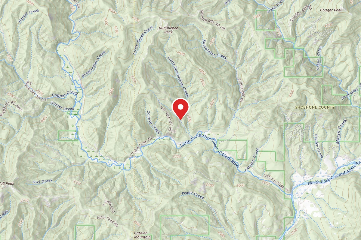 Idaho Panhandle Dispersed Campsite RD 323 MM .6