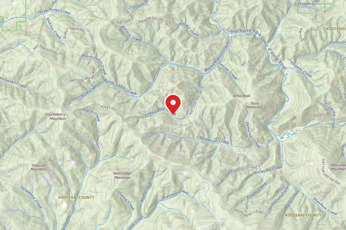 Idaho Panhandle Dispersed Campsite RD 411 MM 1.7