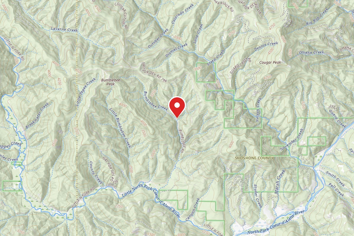 Idaho Panhandle Dispersed Campsite RD 796 MM 2.0