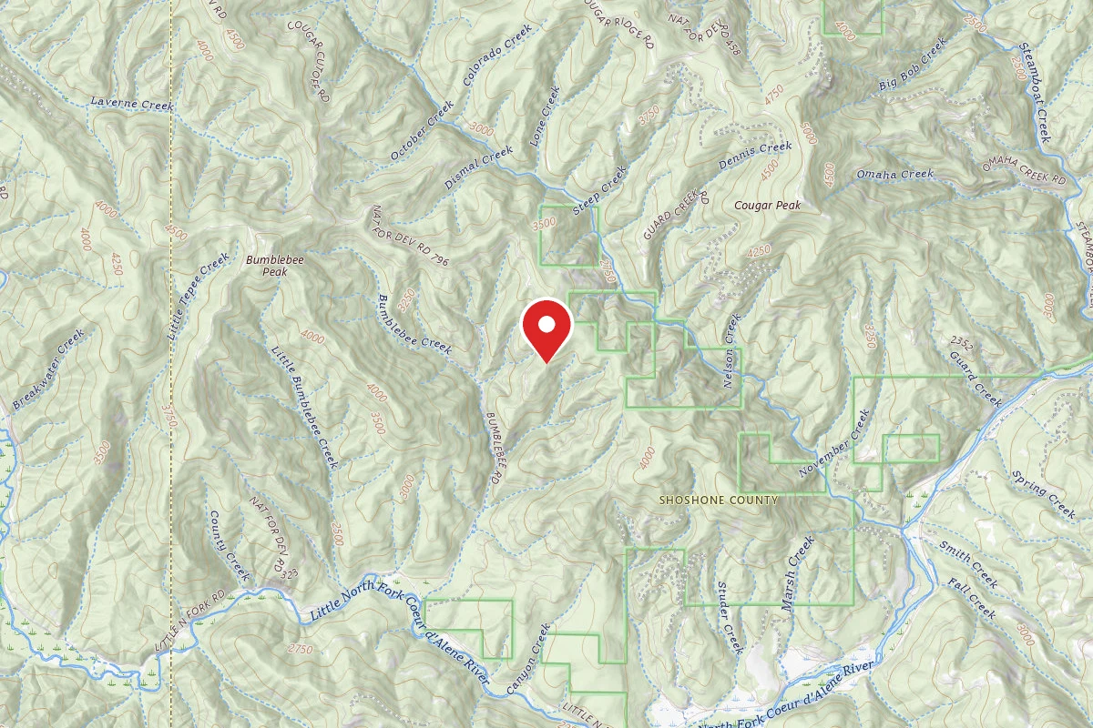 Idaho Panhandle Dispersed Campsite RD 796 MM 5.2