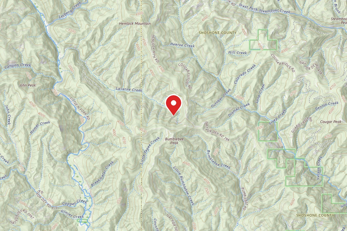 Idaho Panhandle Dispersed Campsite RD 919 MM .7
