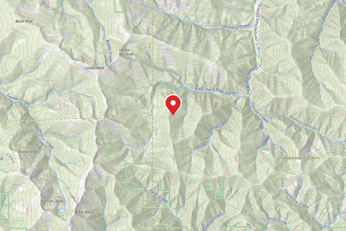 Idaho Panhandle Dispersed Campsite RD 202 SITE 9