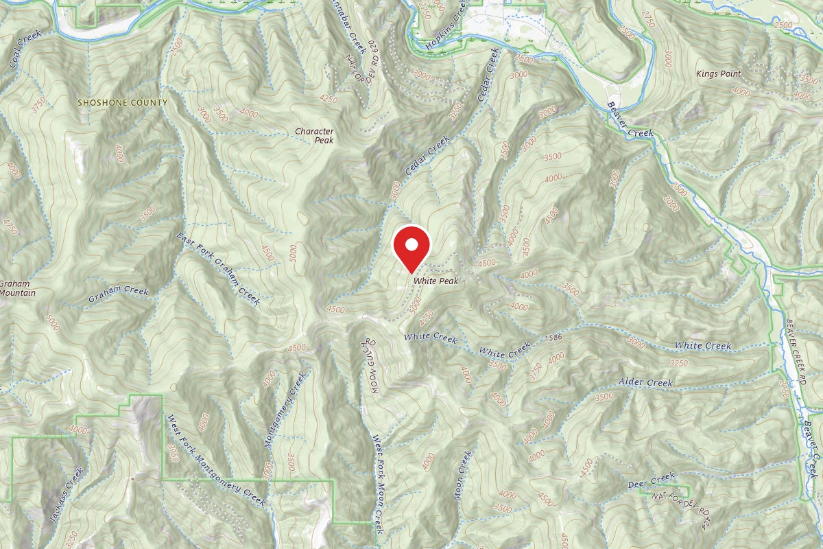 Idaho Panhandle Dispersed Campsite RD 2361 SITE 1