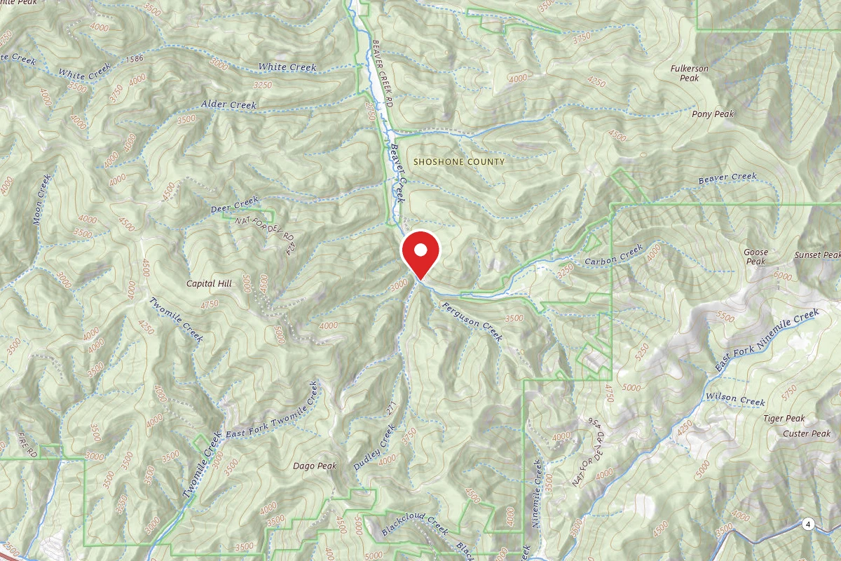 Idaho Panhandle Dispersed Campsite RD 271 SITE 1
