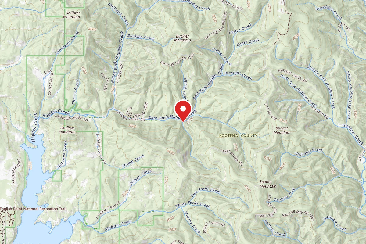 Idaho Panhandle Dispersed Campsite RD 437 SITE 16