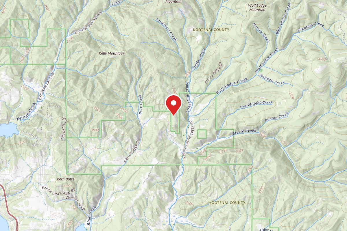 Idaho Panhandle Dispersed Campsite RD 499 SITE 6