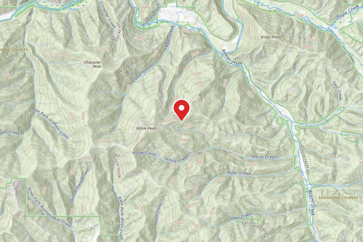 Idaho Panhandle Dispersed Campsite RD 957 SITE 1