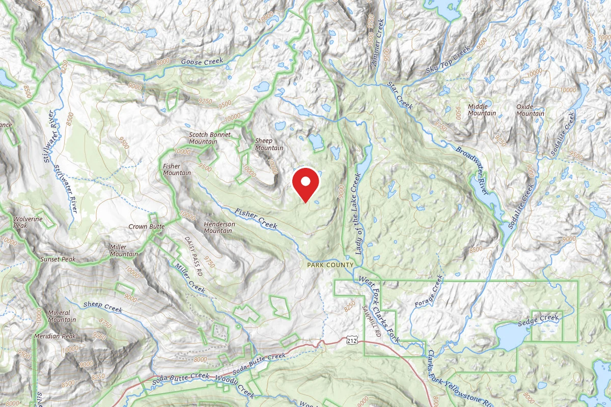 Custer Gallatin Dispersed Campsite GOOSE-002