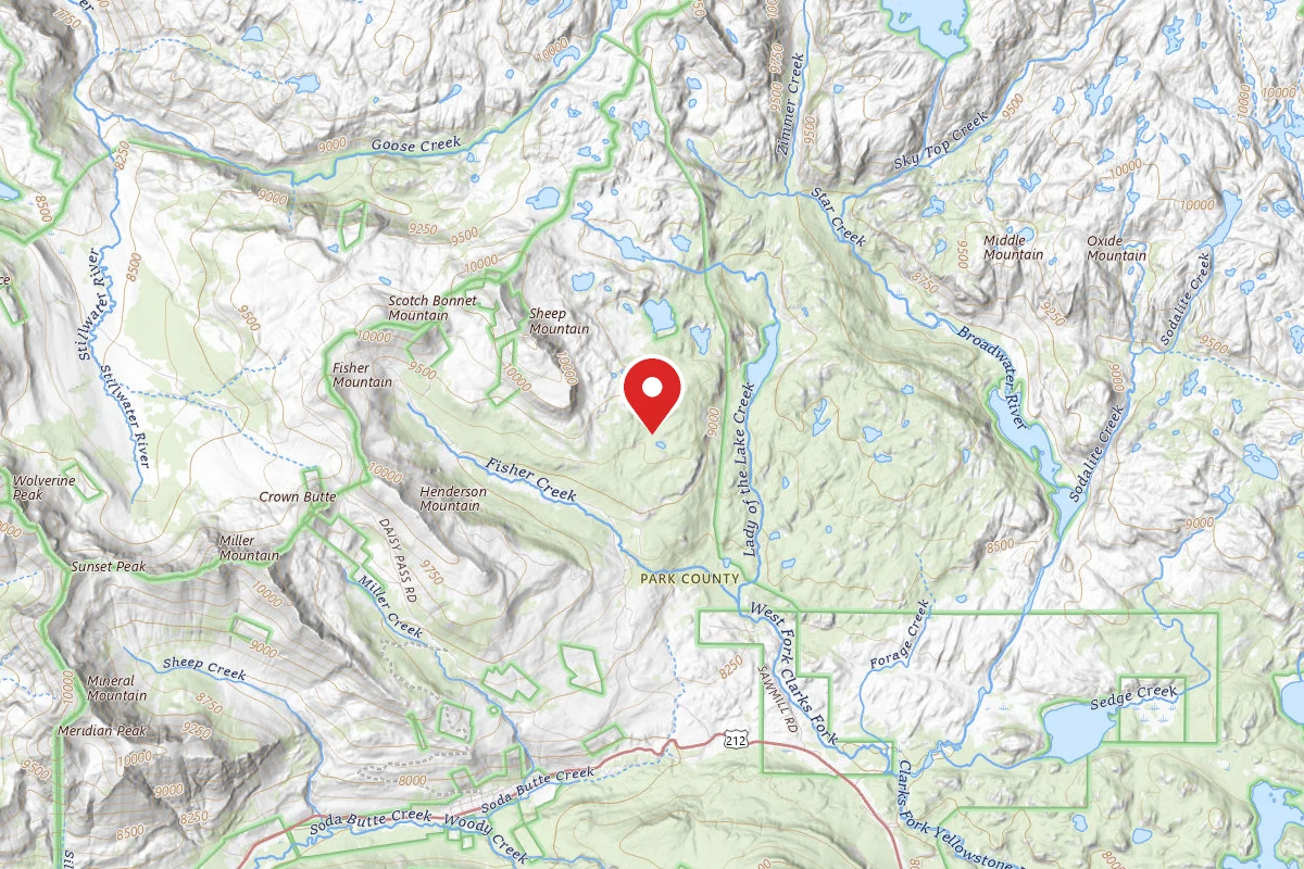 Custer Gallatin Dispersed Campsite GOOSE-003