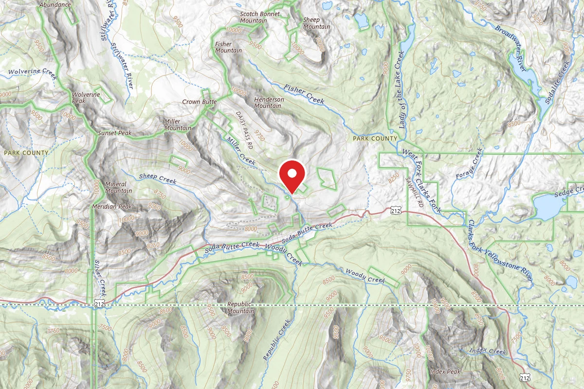 Custer Gallatin Dispersed Campsite DAISY-001