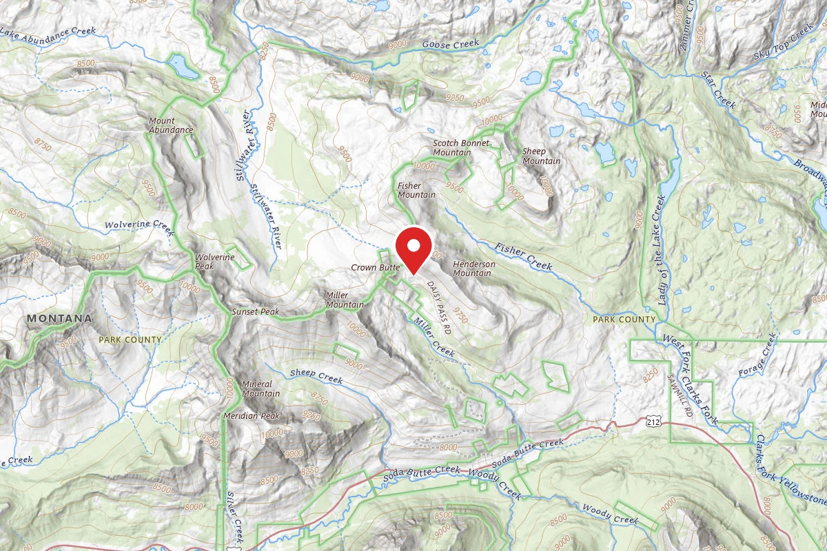 Custer Gallatin Dispersed Campsite DAISY-002