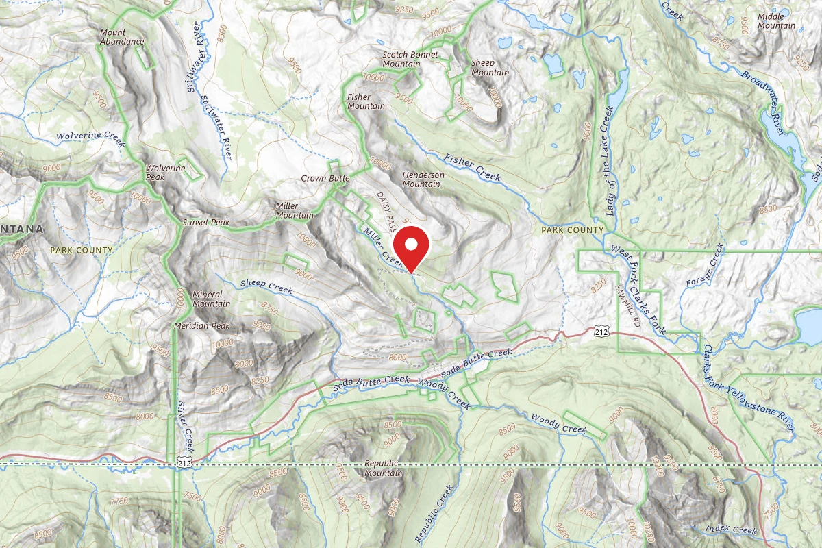 Custer Gallatin Dispersed Campsite MILLER-002