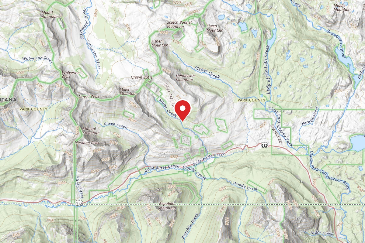 Custer Gallatin Dispersed Campsite MILLER-003A