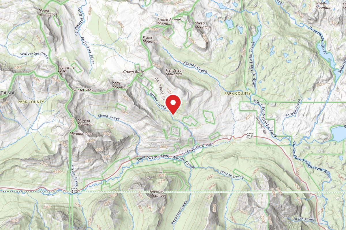 Custer Gallatin Dispersed Campsite MILLER-003B