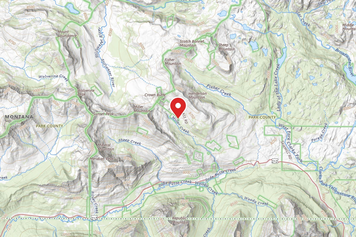 Custer Gallatin Dispersed Campsite MILLER-005A