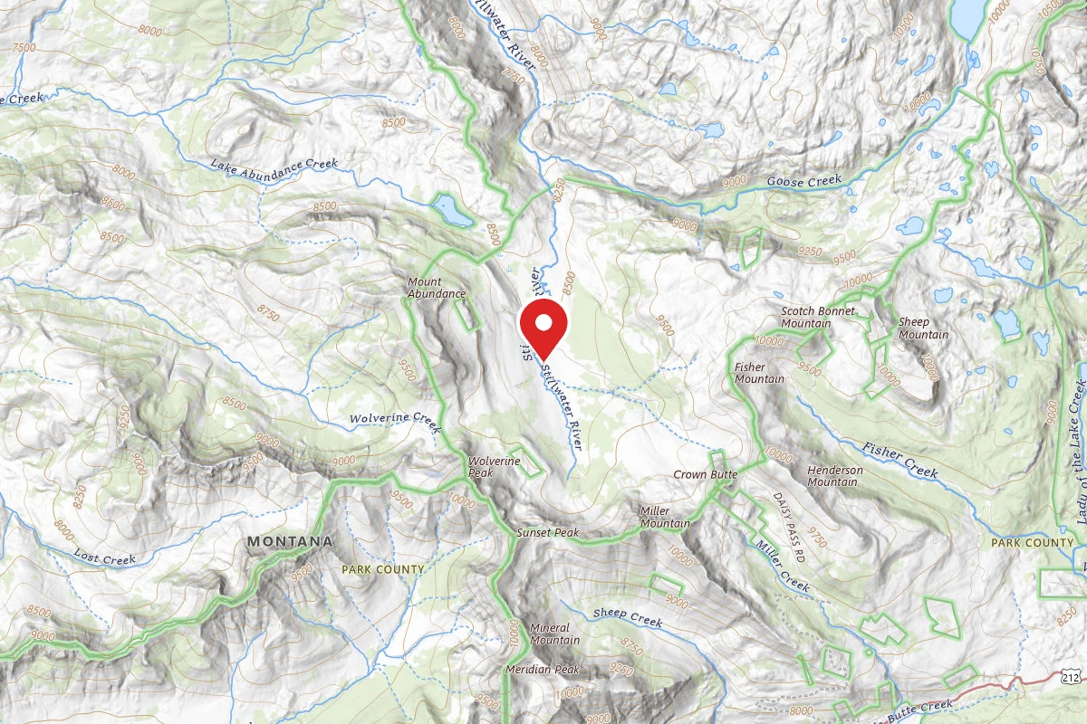 Custer Gallatin Dispersed Campsite WOLERINE-002
