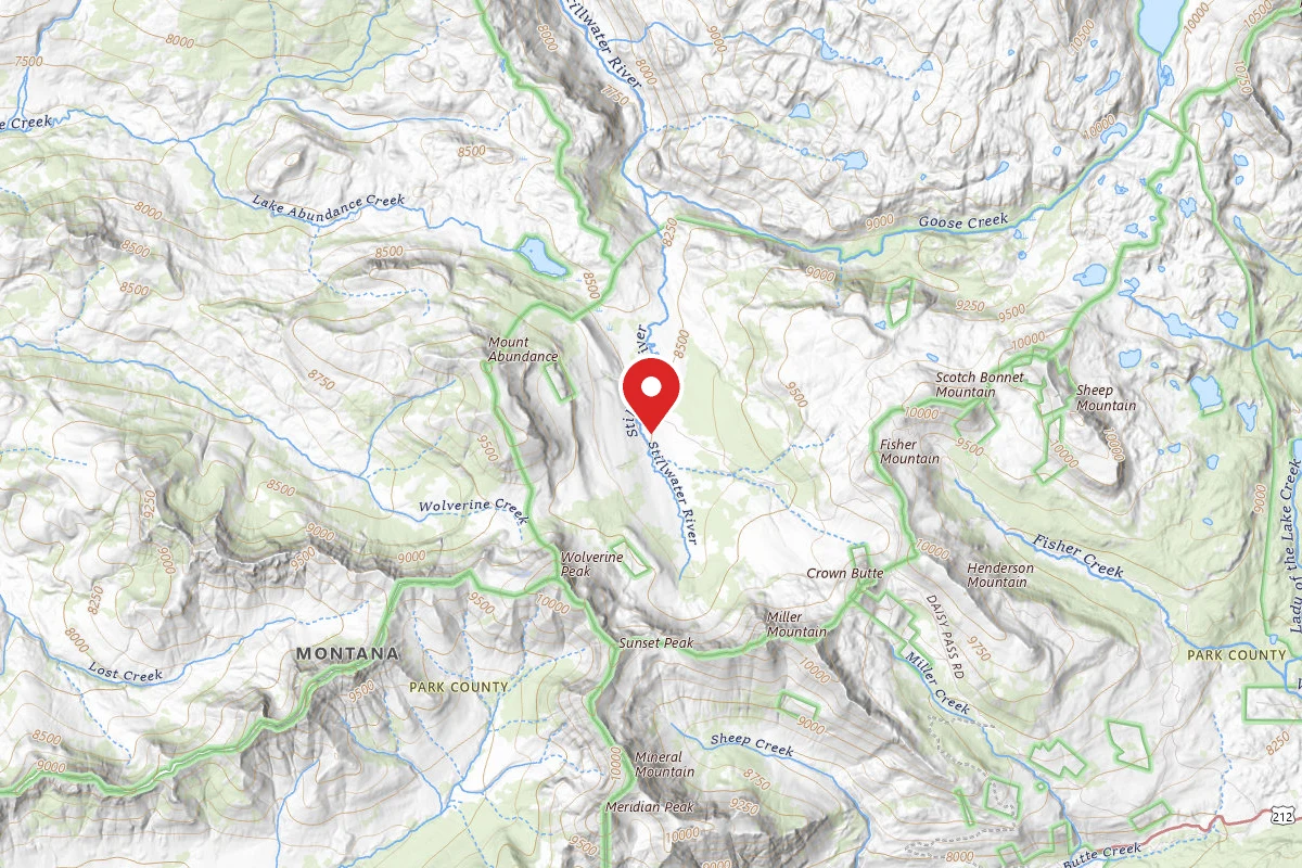 Custer Gallatin Dispersed Campsite WOLVERINE-003