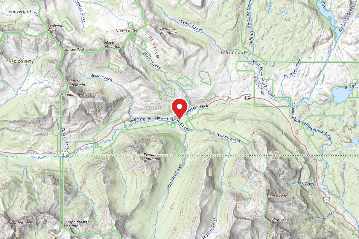 Custer Gallatin Dispersed Campsite WOODY-001
