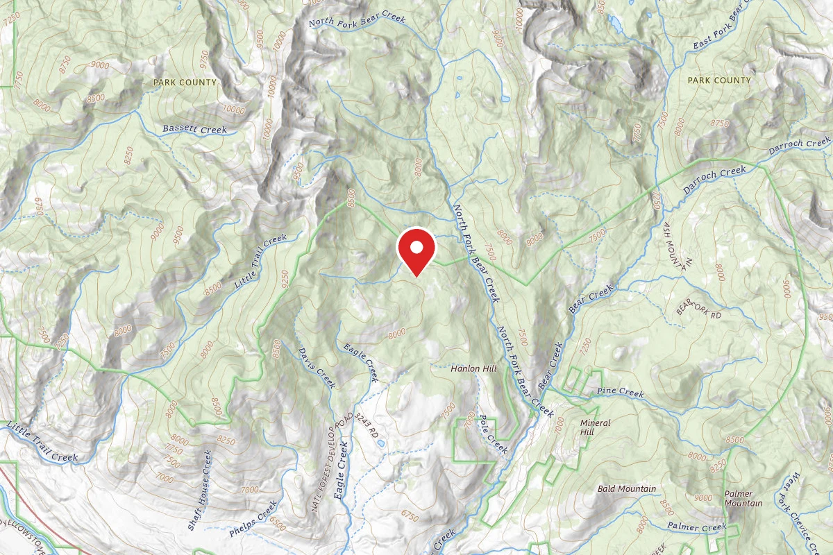 Custer Gallatin Dispersed Campsite EAGLE CREEK ROAD-008
