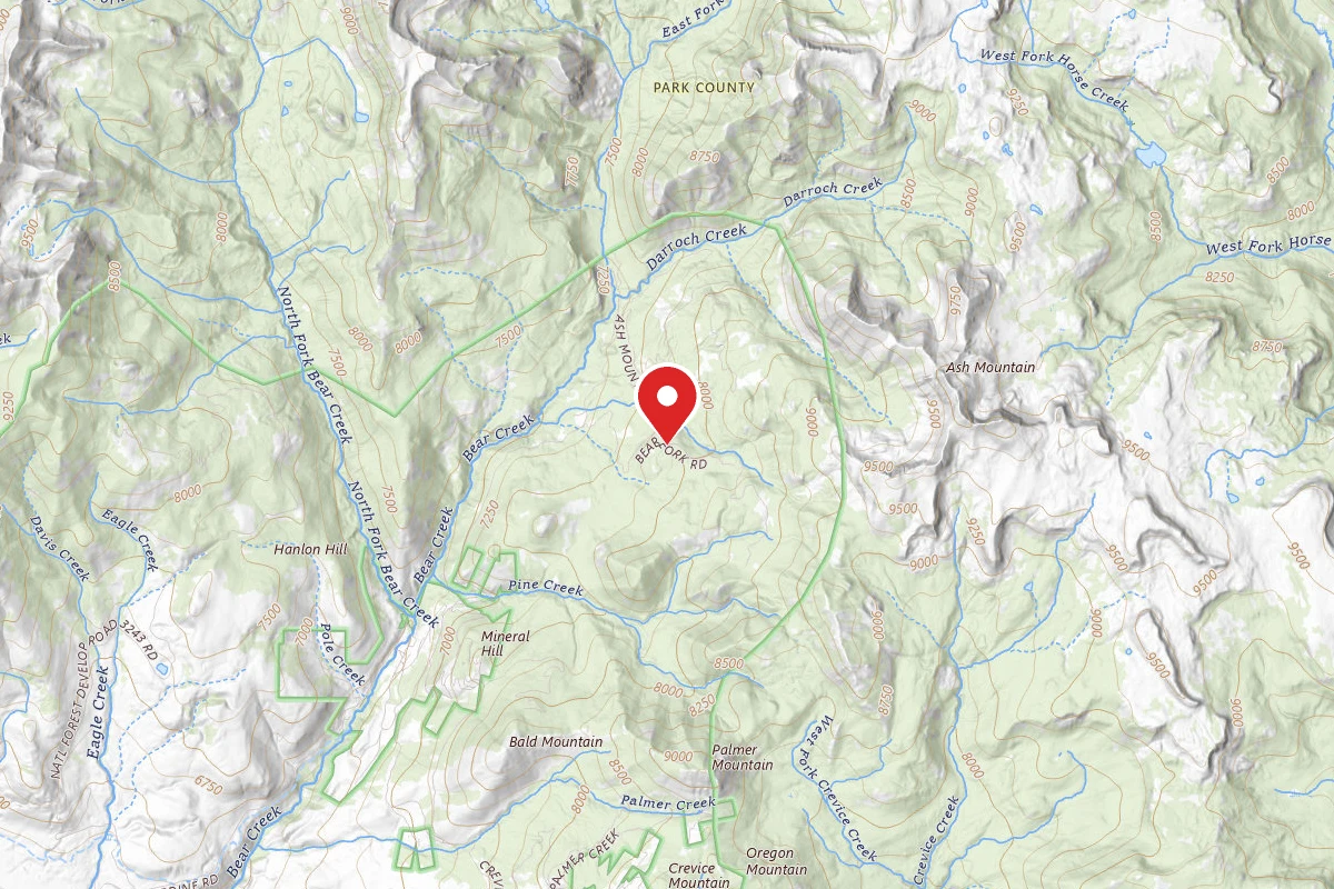 Custer Gallatin Dispersed Campsite BEAR FORK ROAD-001