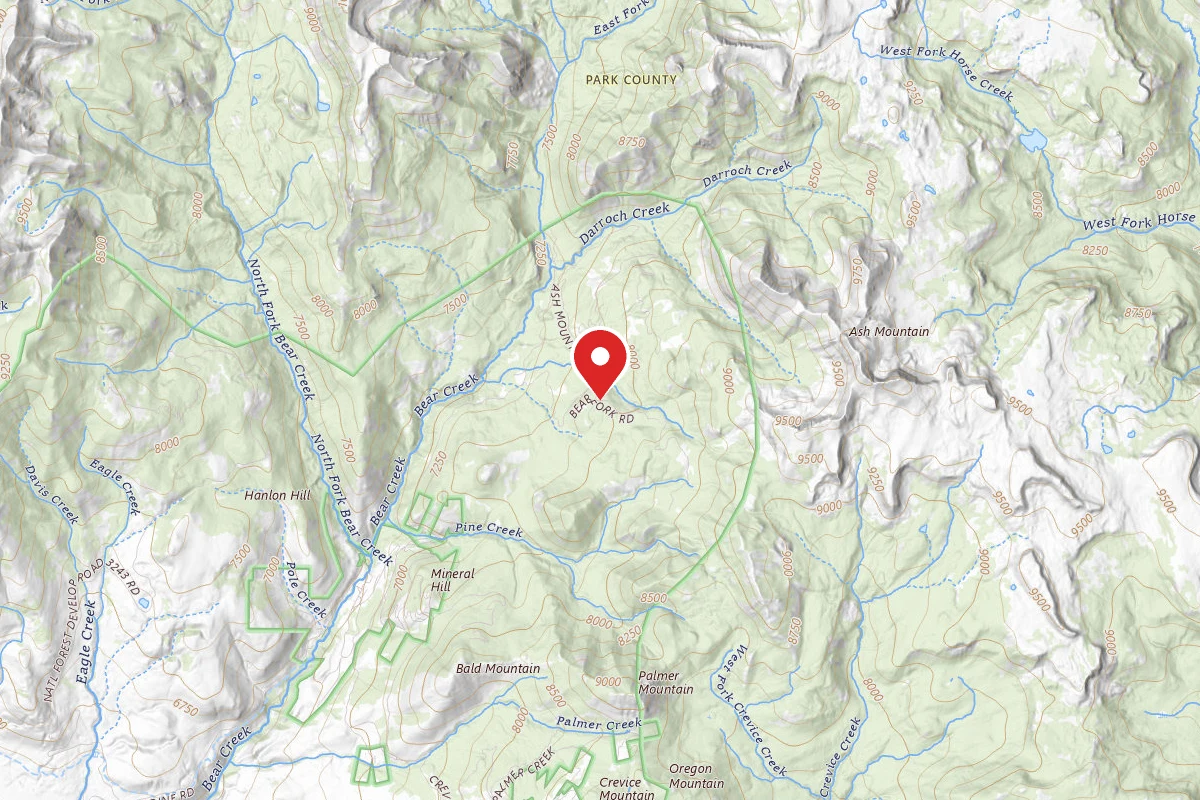 Custer Gallatin Dispersed Campsite BEAR FORK ROAD-002
