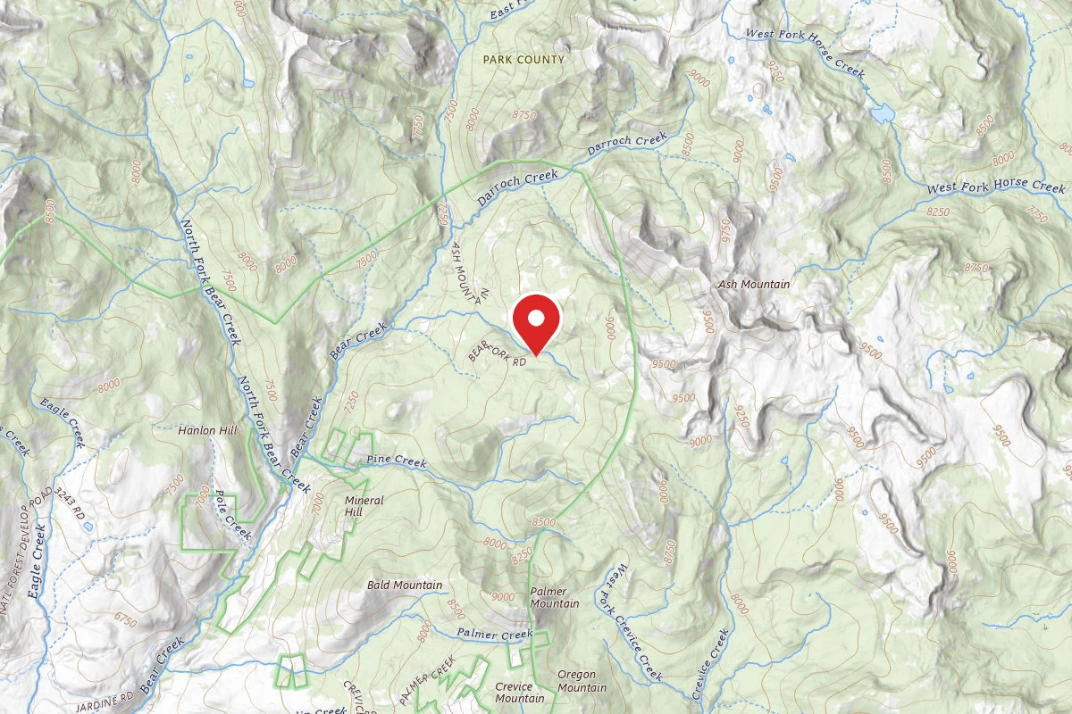 Custer Gallatin Dispersed Campsite BEAR FORK ROAD-004