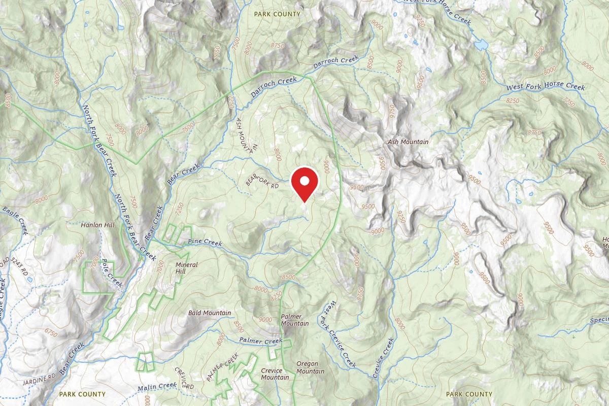 Custer Gallatin Dispersed Campsite BEAR FORK ROAD-007
