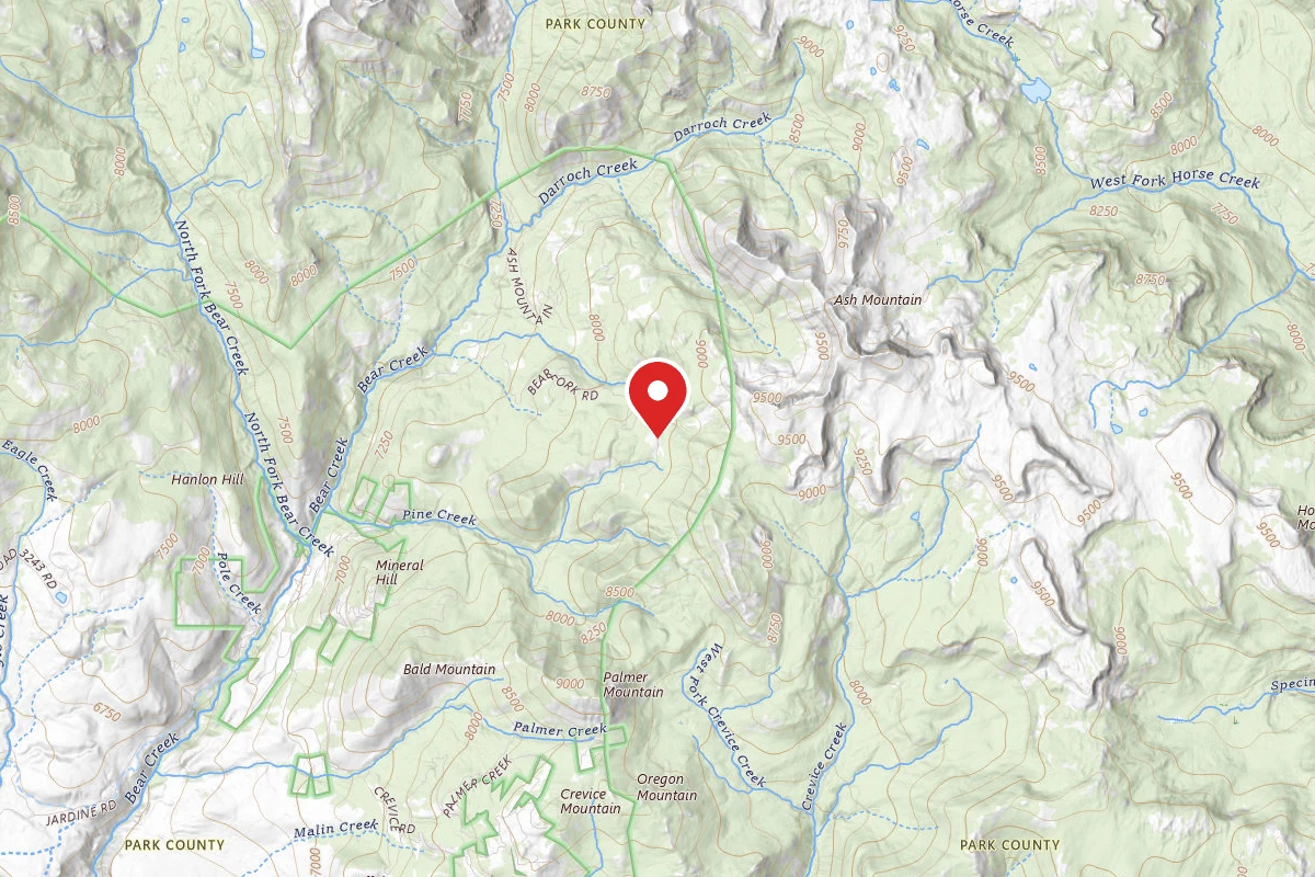 Custer Gallatin Dispersed Campsite BEAR FORK ROAD-009