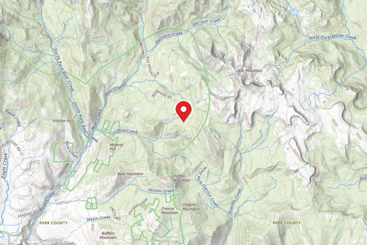 Custer Gallatin Dispersed Campsite BEAR FORK ROAD-010