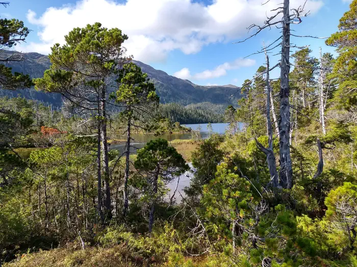 Suloia Lake Cabin β Suloia Lake trail