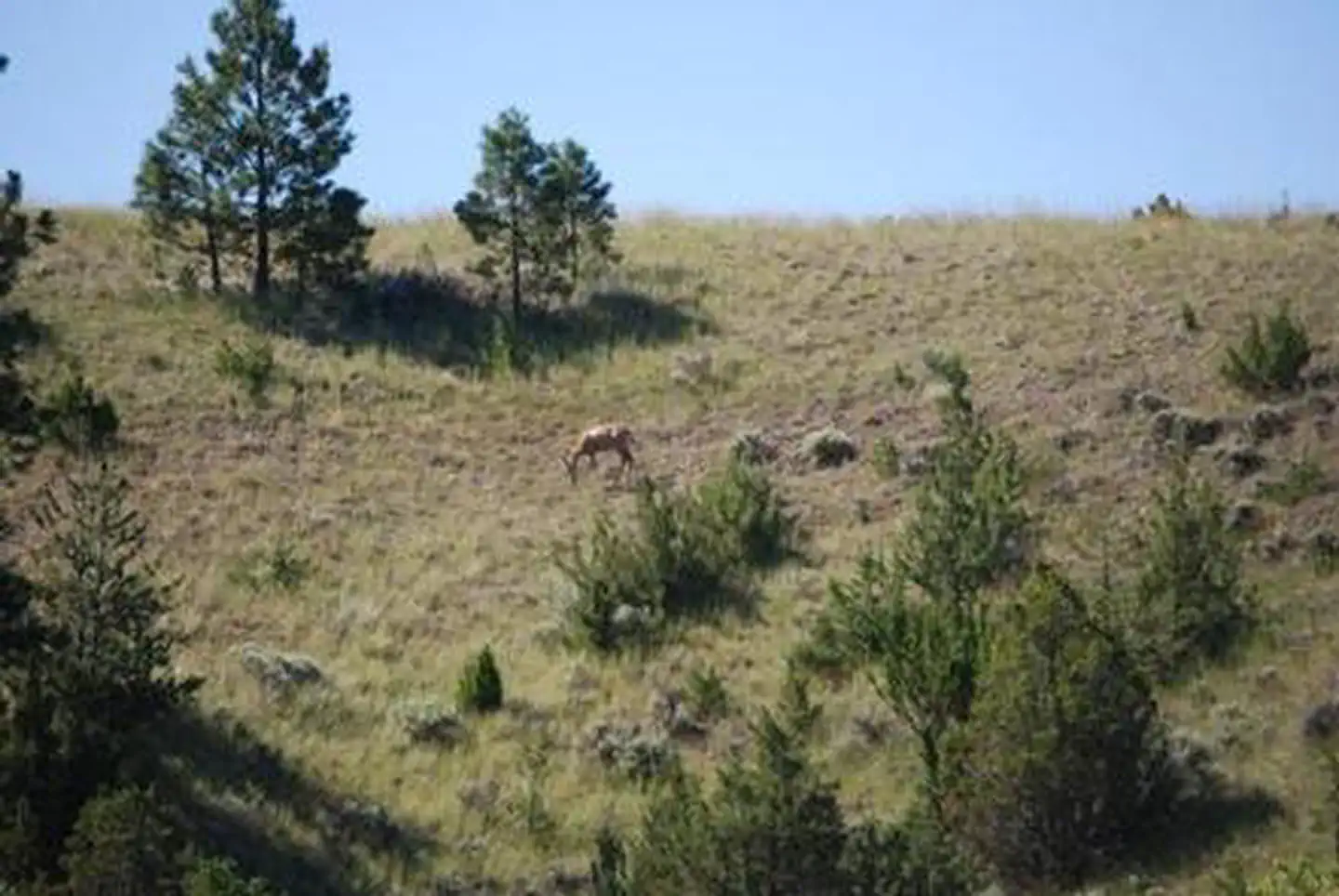 White Earth Campground — WHITE EARTH CAMPGROUND AND GROUP USE SHELTER
