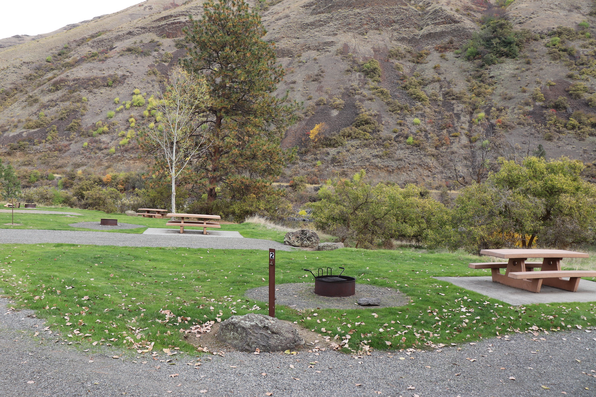 Hammer Creek Recreation Site — Camp site at Hammer Creek