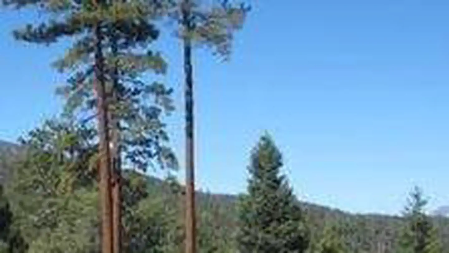 Skyline Group Campground