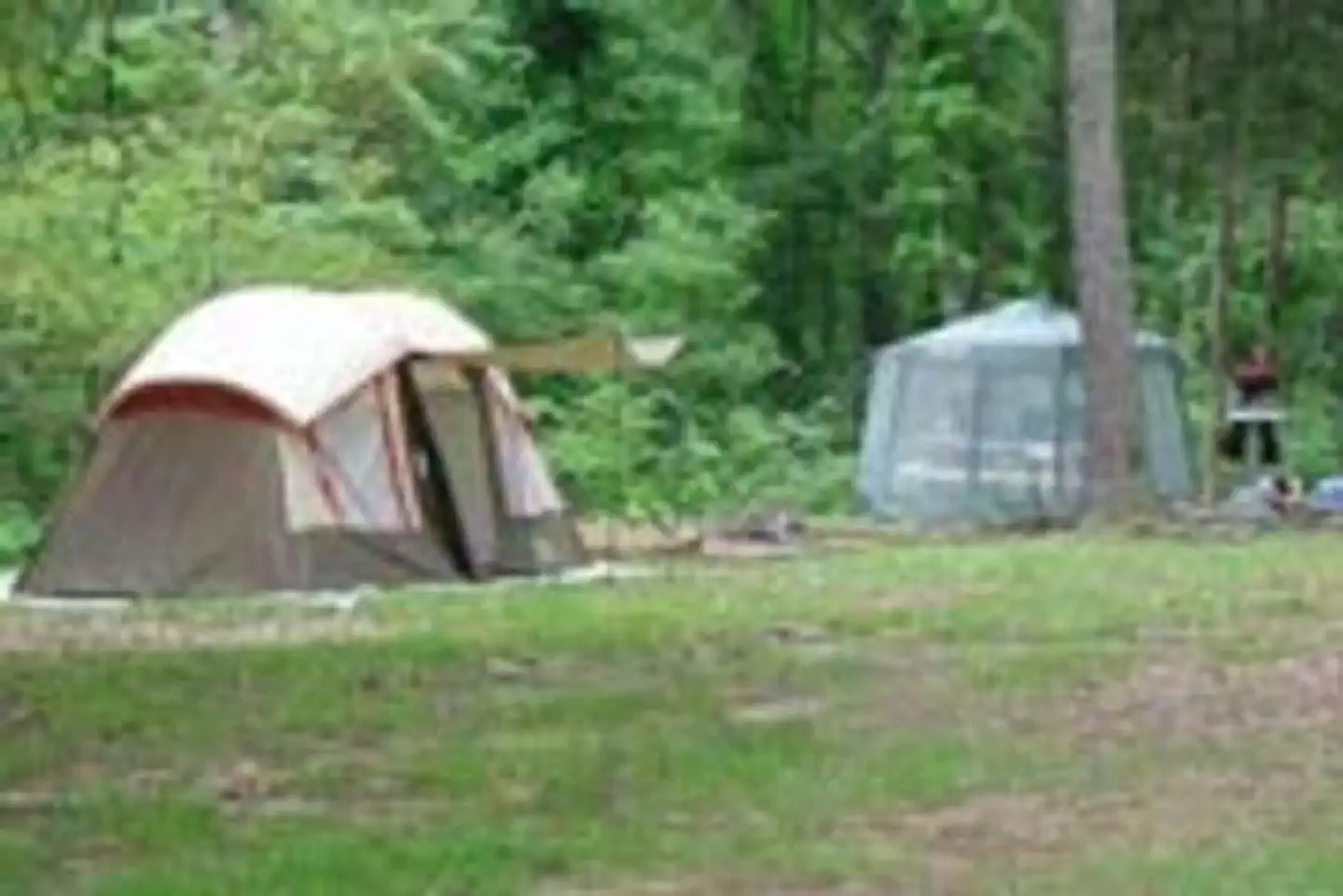 Dub Patton Recreation Area — Dub Patton Recreation Area