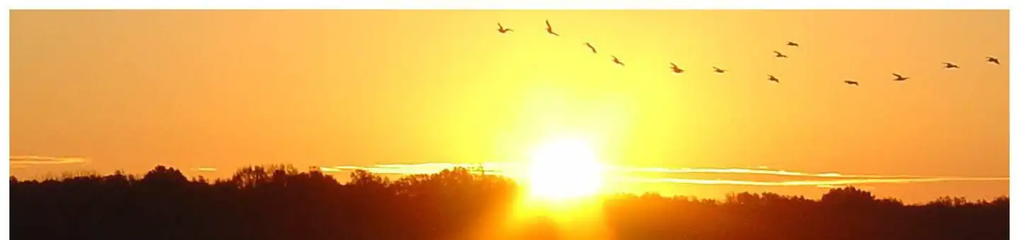 Dub Patton Recreation Area — Arkabutla Lake Sunrise