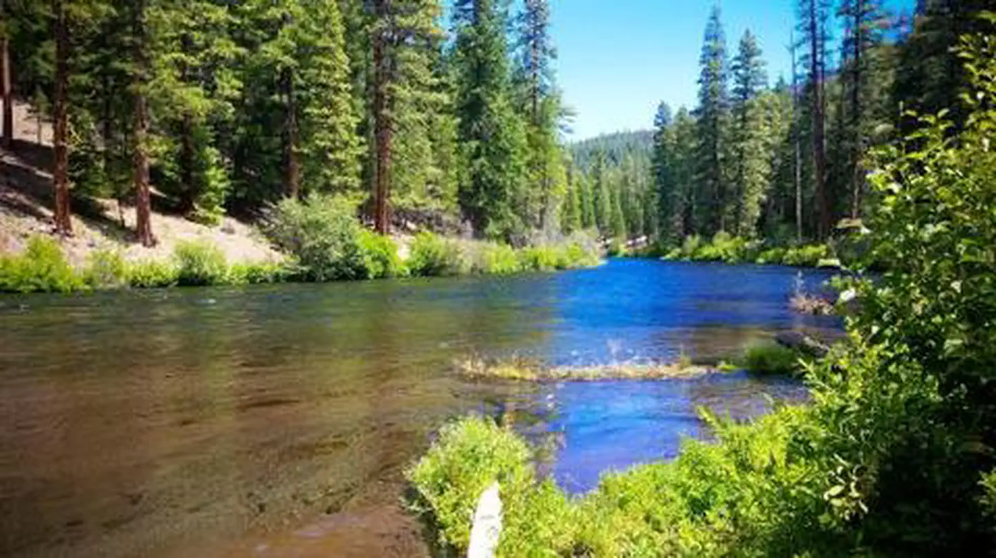 Pioneer Ford Campground — Pioneer Ford Campground
