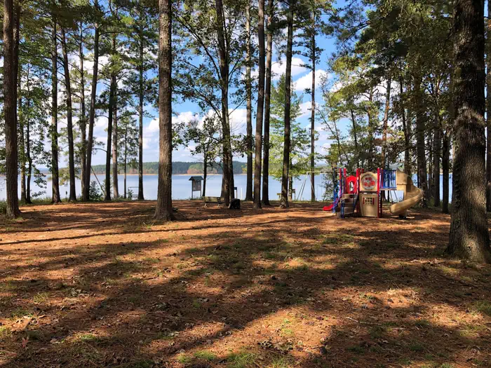 Alpine Ridge — Playground