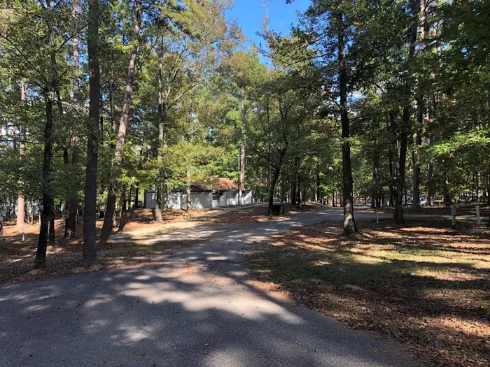 Alpine Ridge — Camping