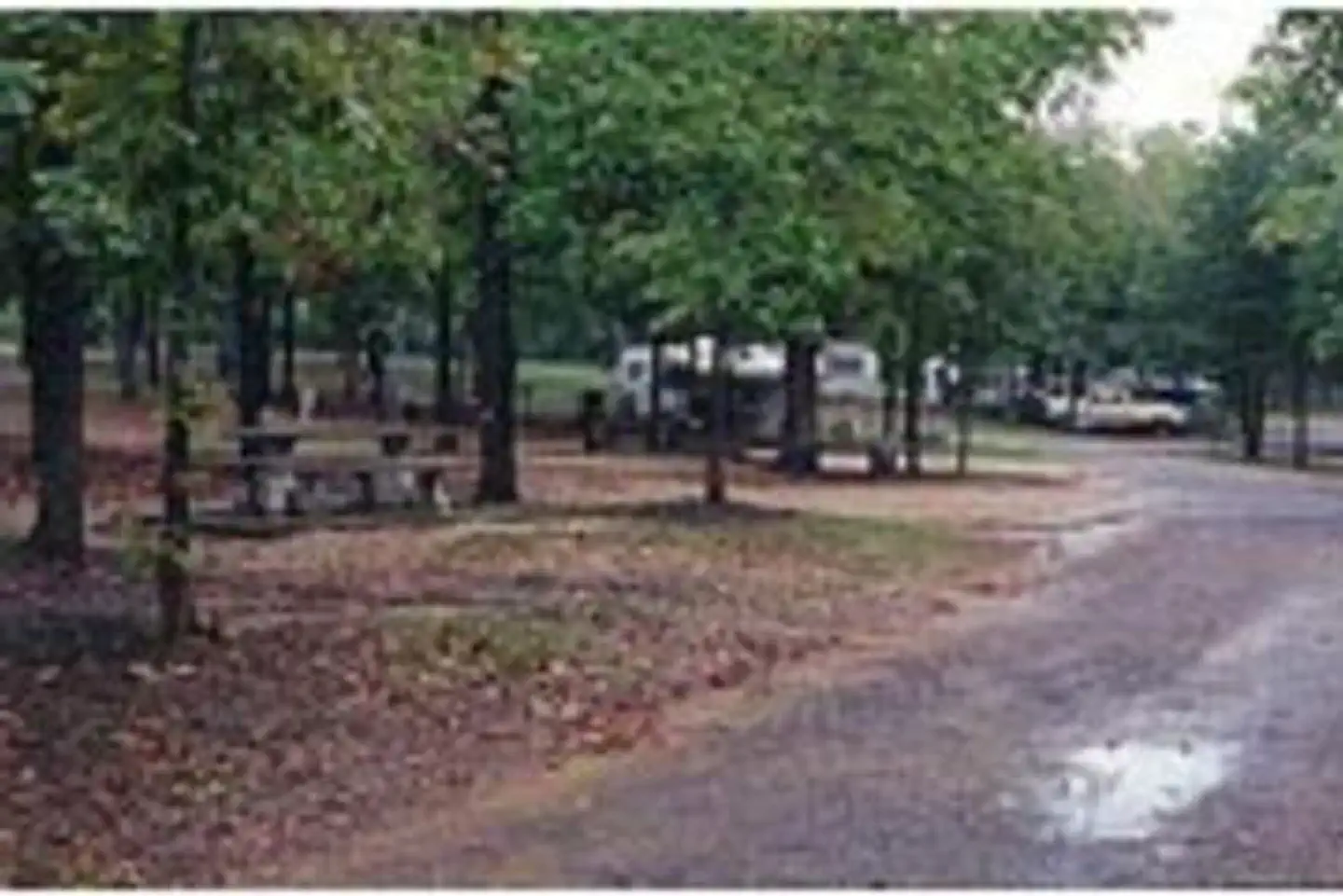 Little River Park — LITTLE RIVER PARK