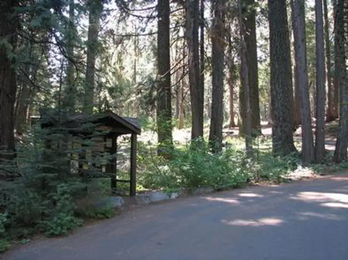 Stumpy Meadows — STUMPY MEADOWS