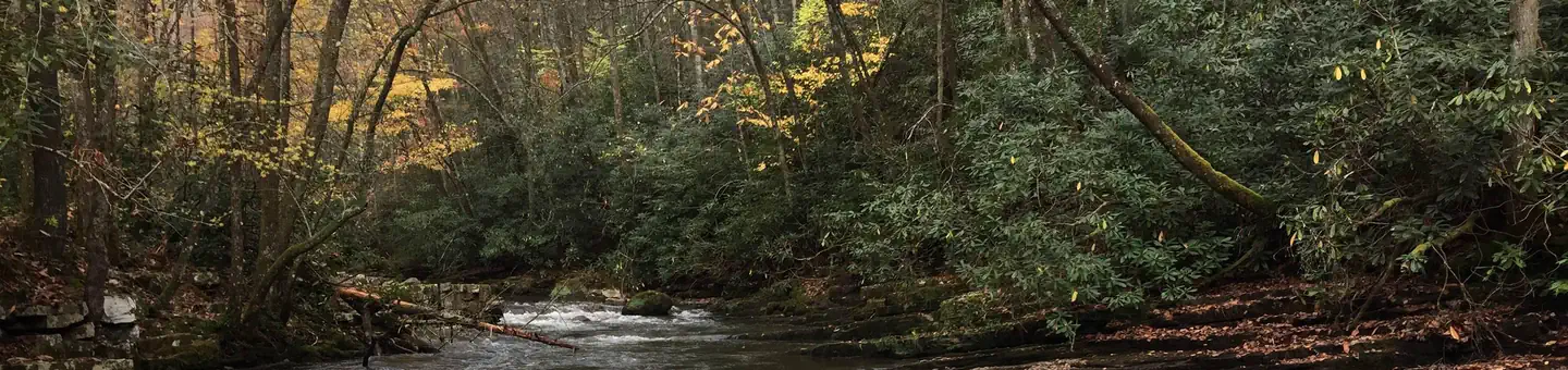 Backbone Rock Recreation Area Pavilions and Campground