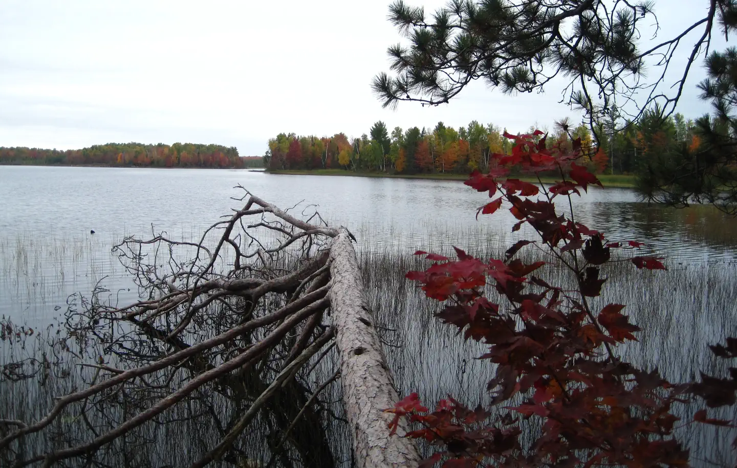 Sailor Lake Pavilion β Sailor Lake fall colors.