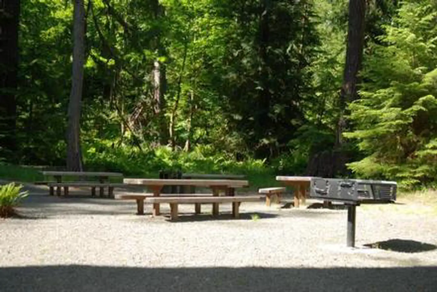 North Fork Elk Group Camp — North Fork Elk Group Camp