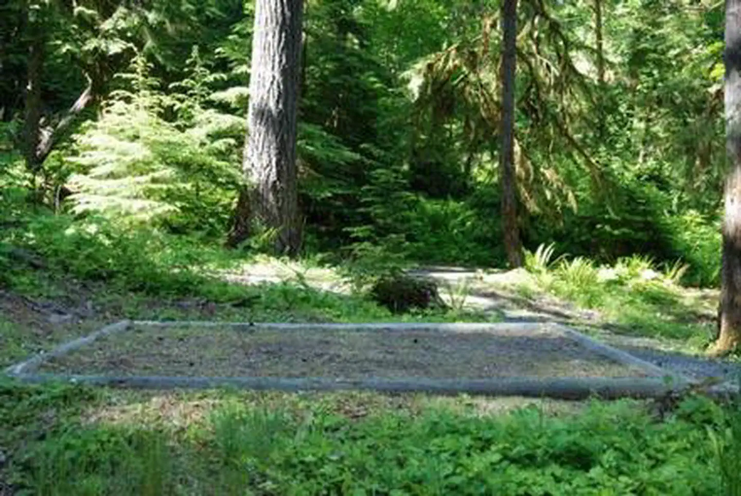 North Fork Elk Group Camp — North Fork Elk Group Camp